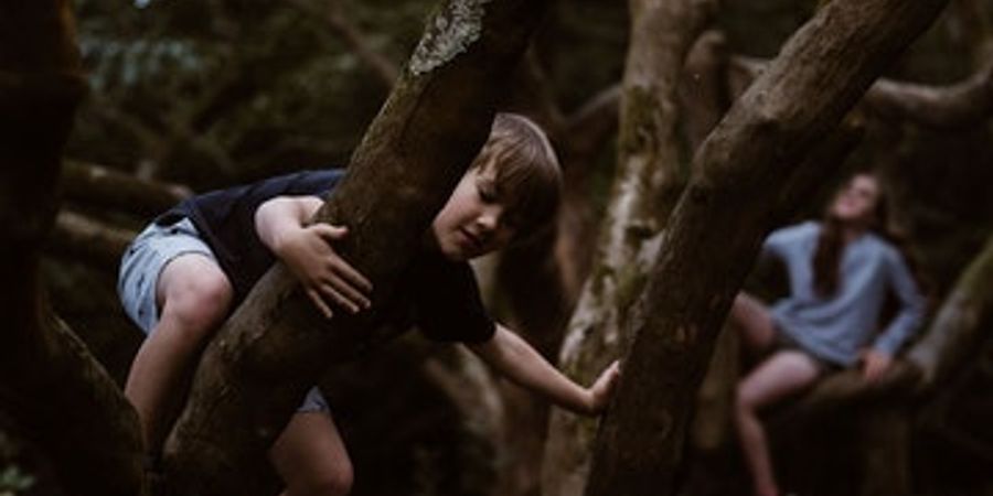 image - Geocache in het bos