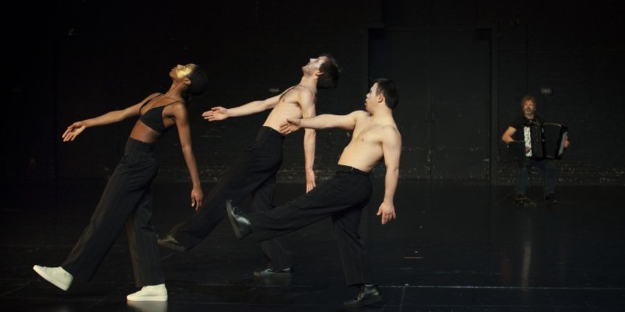 image - The Goldberg Variations - Michiel Vandevelde/Philippe Thuriot/Platform-K