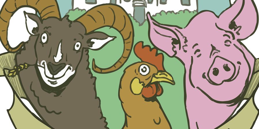 image - Viens souffler tes bougies à La Ferme d’Anjou ! 