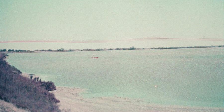 image - 