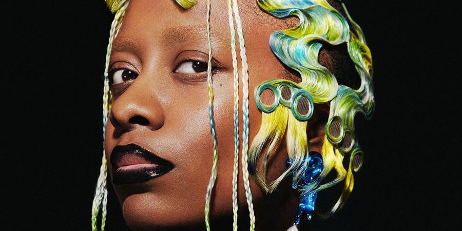 image - Cecile McLorin Salvant