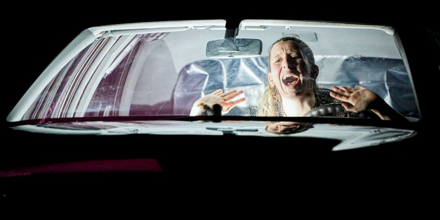 image - The Cadela Força Trilogy - Carolina Bianchi / Cara De Cavalo & Metro Gestão Cultural / KVS