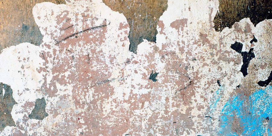 image - Dos au mur de Geneviève Damas