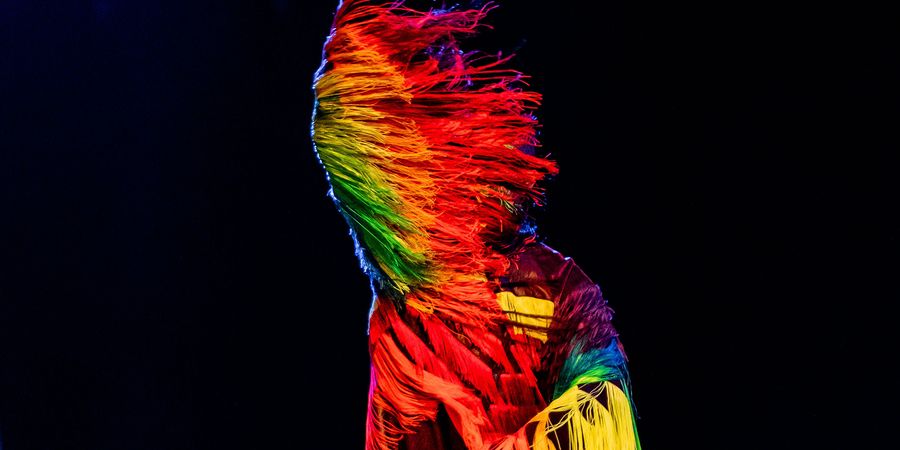 image - Vanishing Act de Thierry Smits/Cie Thor
