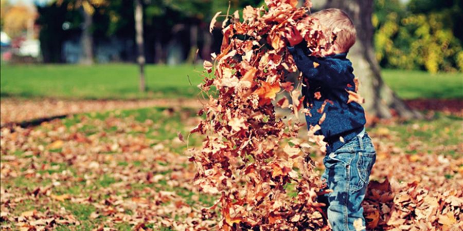 image - Creatief in de kleurrijke herfst