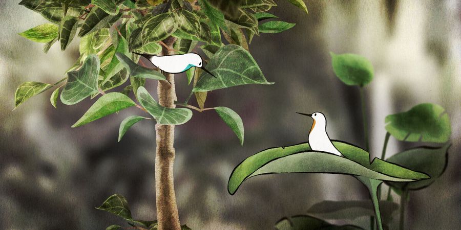 image - Piro Piro
