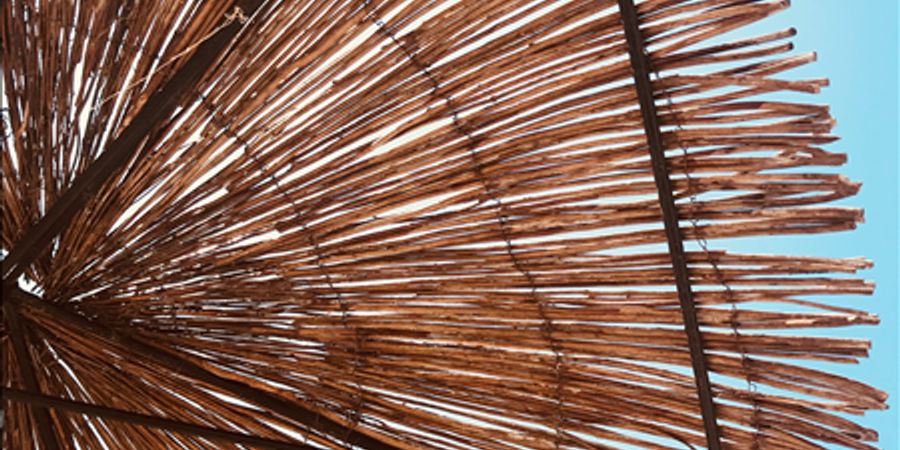image - Familiezondag: Strand-Tastisch!