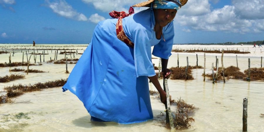 image - Zanzibar au féminin