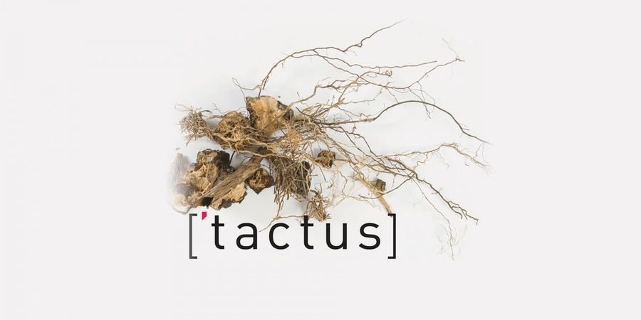 image - [‘tactus] Young Composers’ Forum + Brussels Philharmonic