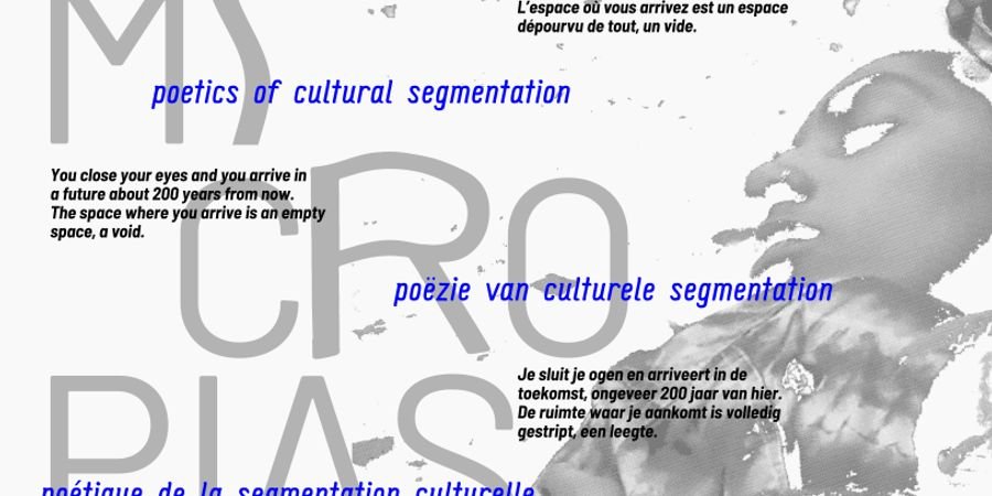 image - Micropias: poëzie van culturele segmentatie