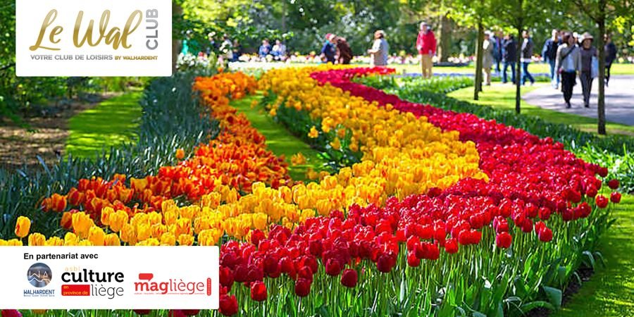 image - Keukenhof : Le plus grand parc floral au monde où pas moins de 7 millions de bulbes sont exposés
