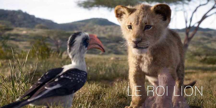 image - Ciné'Vendredi : Le Roi Lion