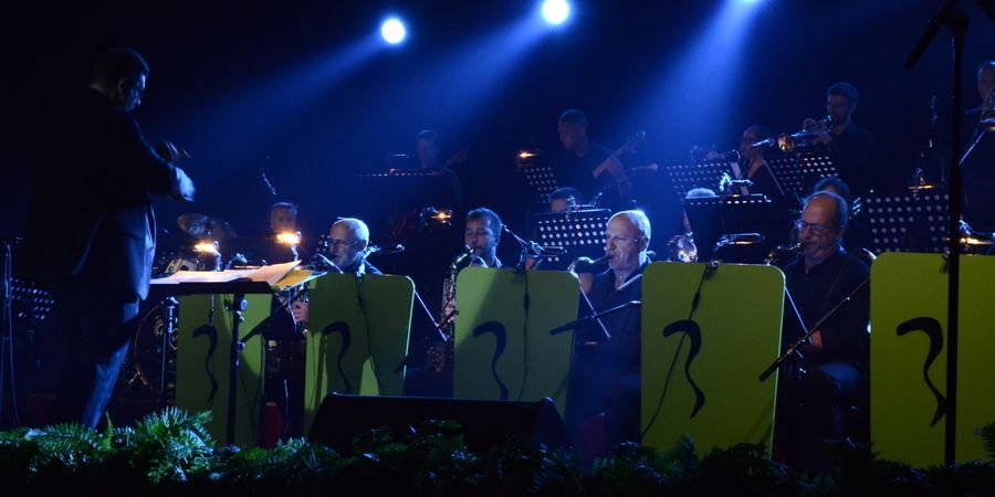image - Castle B big band - On The Road Again