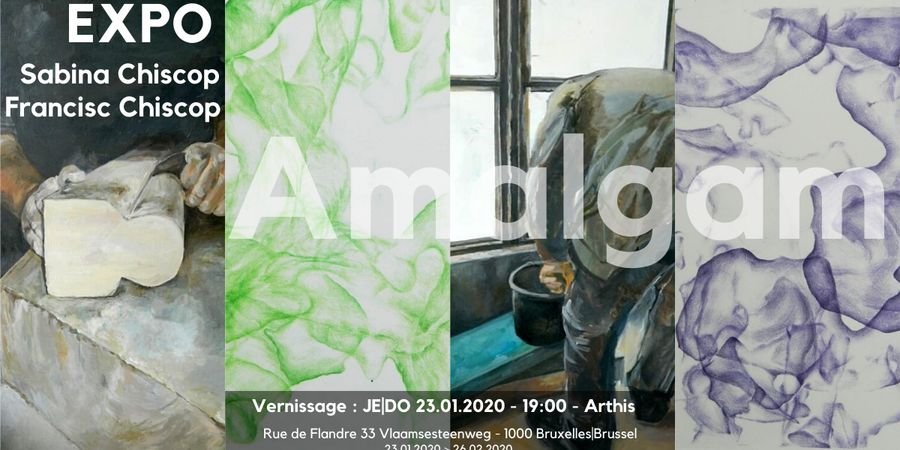 image - Tentoonstelling Amalgam (Sabina Chiscop et Francisc Chiscop - artistes plasticiens)