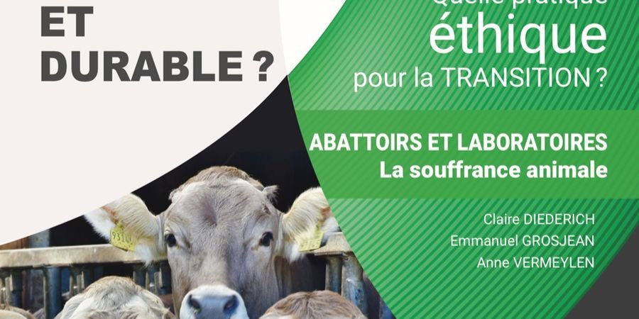 image - Quelle pratique éthique pour la Transition ? Abattoirs et laboratoires - La souffrance animale 