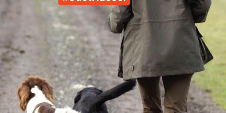 image - Woef Walk : hondenwandeling by #JustRussel