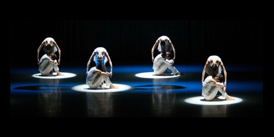 image - Bejart Ballet Lausanne
