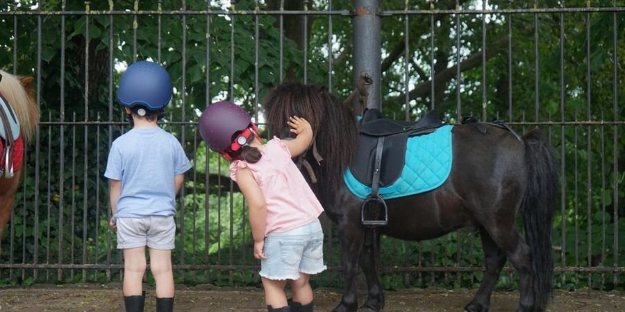 image - Stages poney, créativité et mouvement pour les 3 - 7 ans