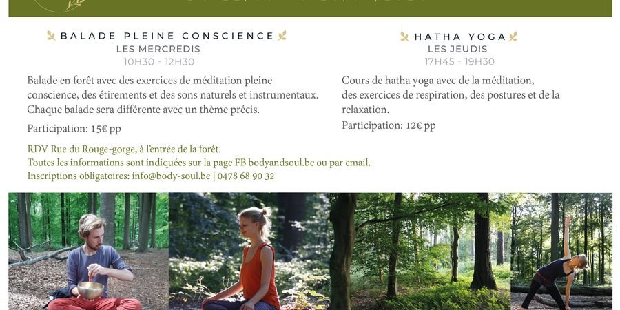 image - Balade pleine conscience, yoga, sons dans la forêt de Soignes