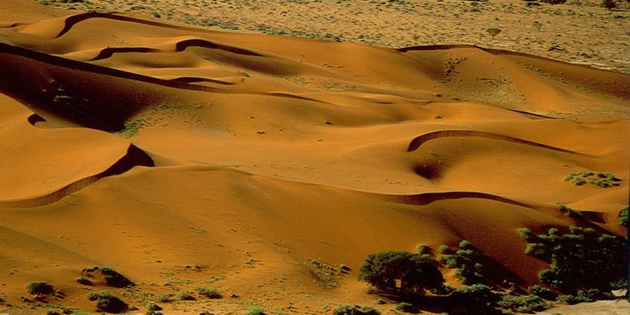 image - La Namibie : du désert namibien aux Chutes Victoria