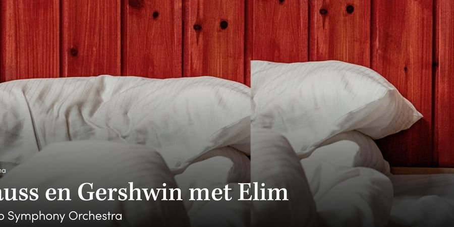 image - Strauss en Gershwin met Elim Antwerp Symphony Orchestra