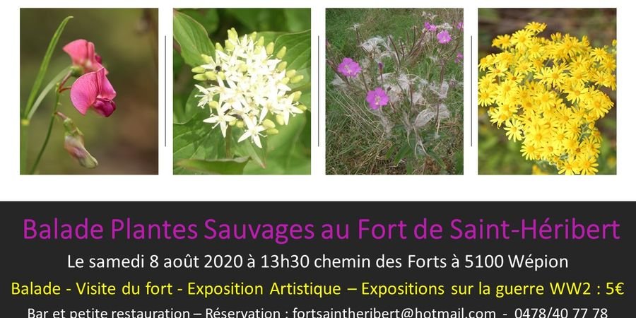 image - Balade Nature au Fort de Saint-Héribert