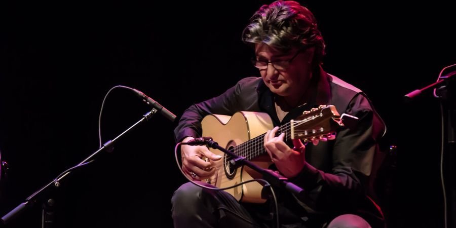 image - Antonio Segura - guitare flamenco