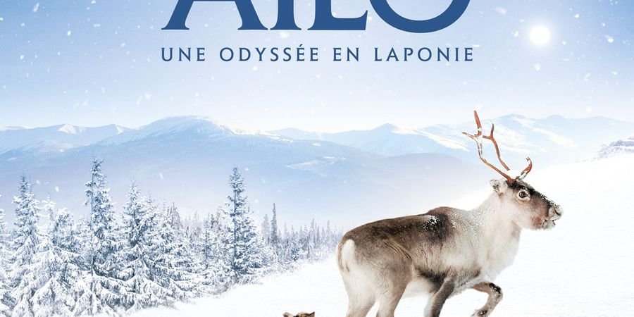 image - Aïlo, une odyssée en Laponie
