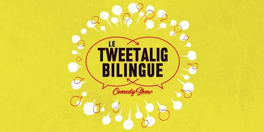 image - Le Tweetalig Bilingue Comedy Show