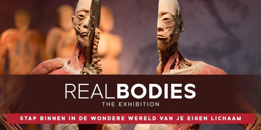 image - Real Bodies