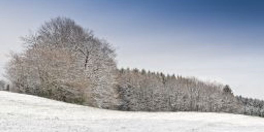 image - Randonnée hivernale à Ovifat