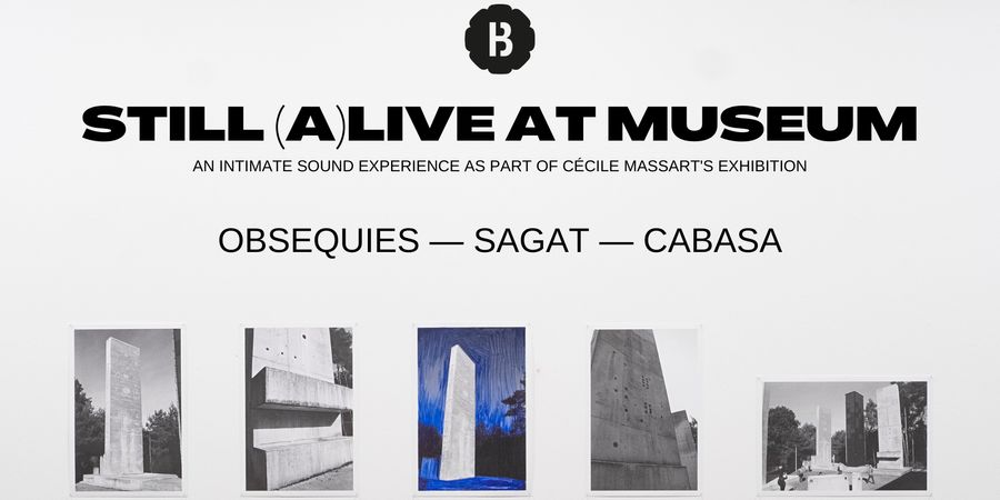 image - 'Still (a)live at Museum' : Cabasa