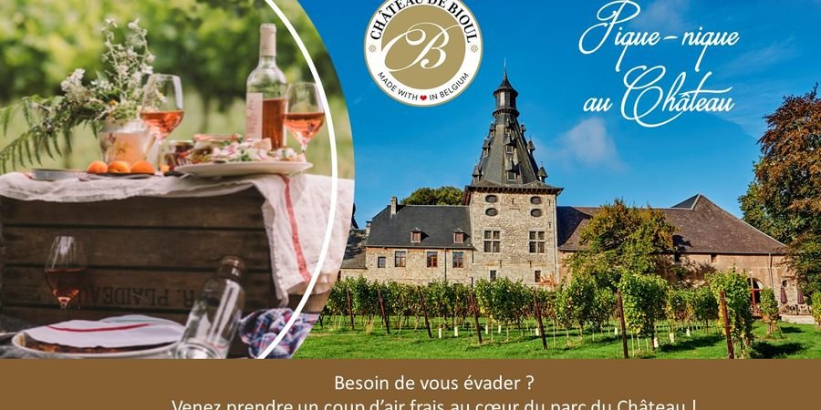 image - Het Château de Bioul biedt u een landelijke ervaring in het hart van het landgoed
