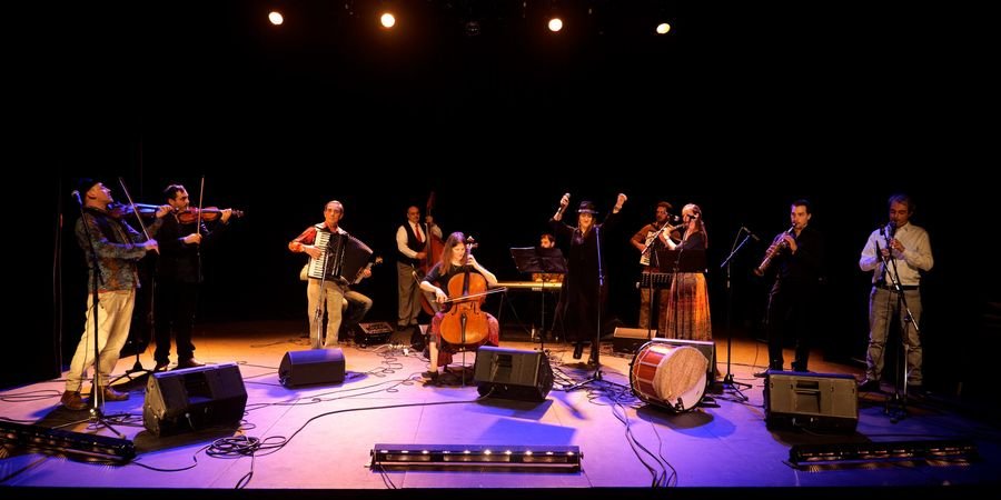 image - Brussels Balkan Orchestra - Concert en Live Streaming