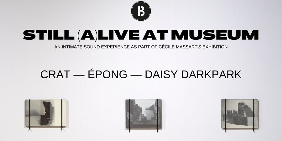 image - 'Still (a)Live at Museum' : Daisy Darkpark