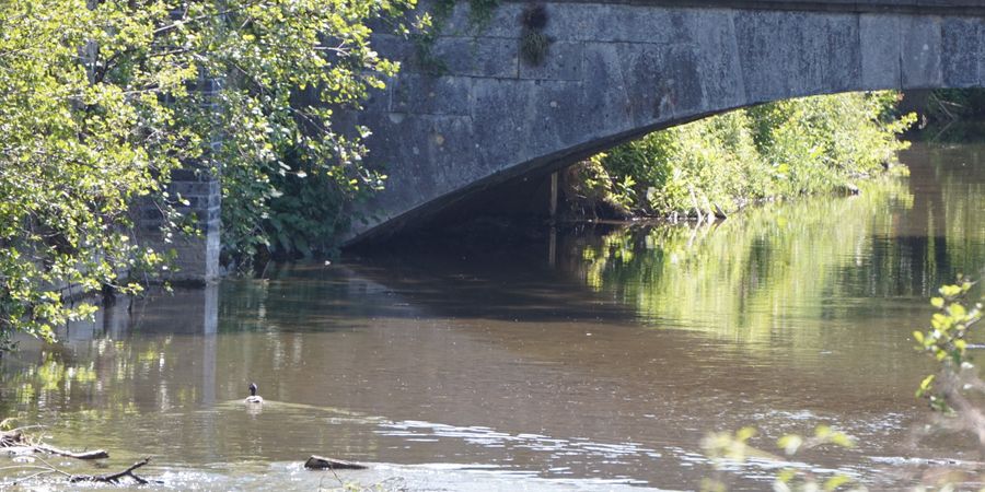 image - Visite guidée - Ici, c'est cool l'Eau d'Heure