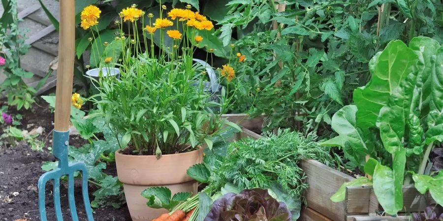 image - Troc aux plantes et matériel de jardinage