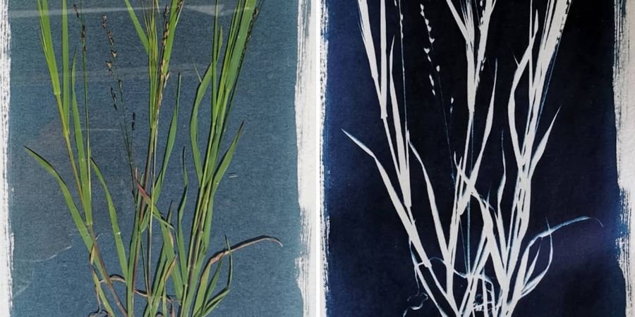 image - Atelier cyanotypes - découverte et expérimentation