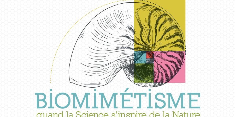 image - Stage : Biomimétisme – Quand la science s’inspire de la nature