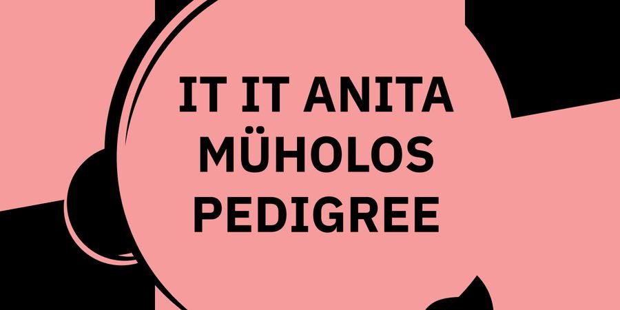 image - Fête de la Musique — Müholos / Pedigree / It It Anita