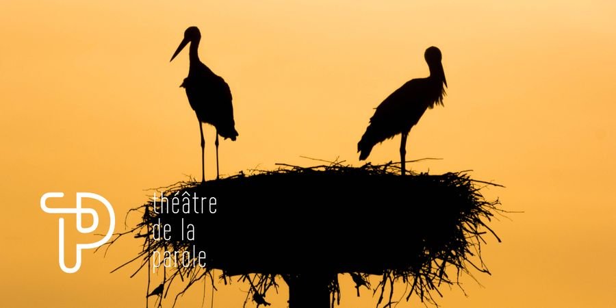 image - La cigogne des Aurès : Chants d'amour et de résistance 