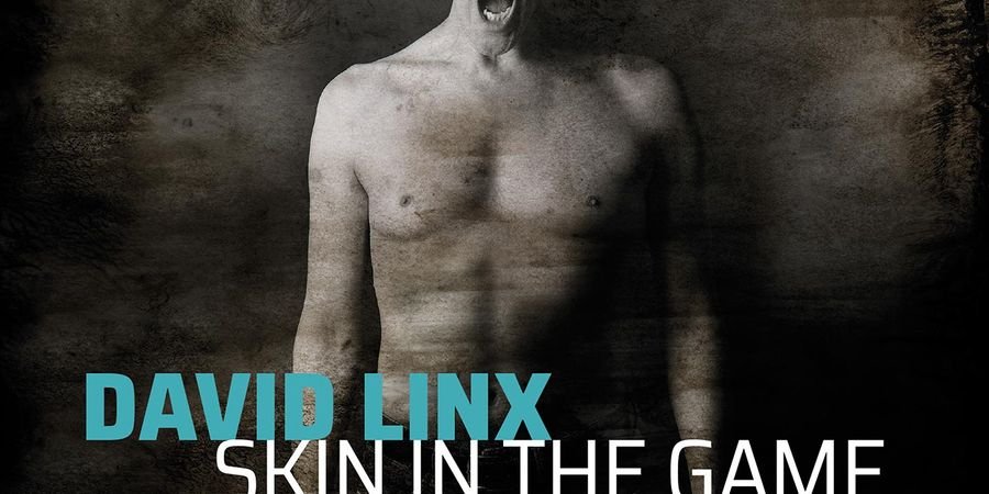 image - David Linx, CD Release « Skin In The Game »