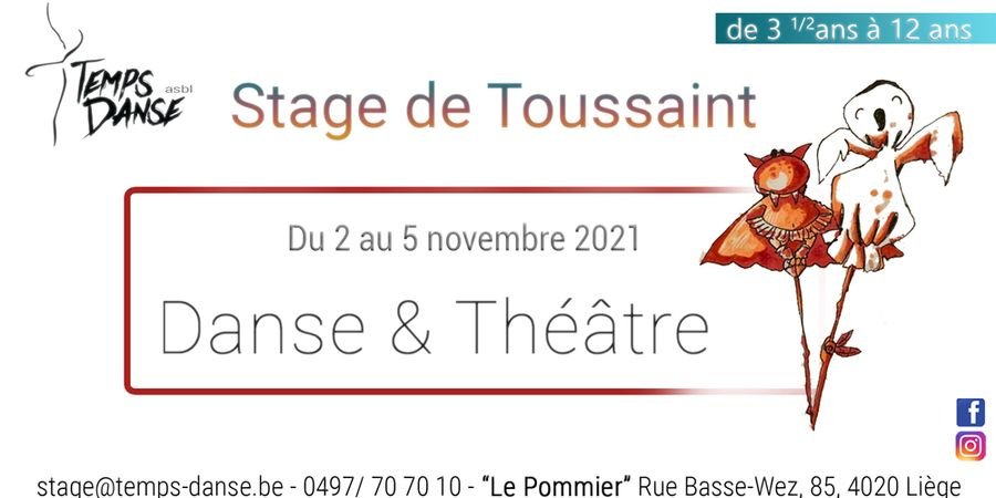 image - Stage Danse et Théâtre Toussaint