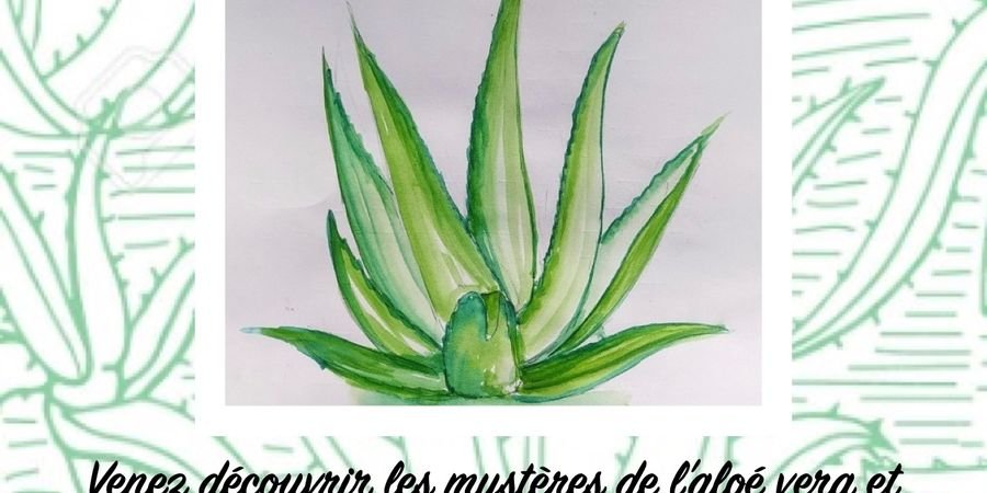 image - Atelier découverte et fabrication Aloe vera