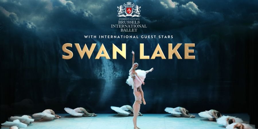 image - Le Lac Des Cygnes - Swan Lake