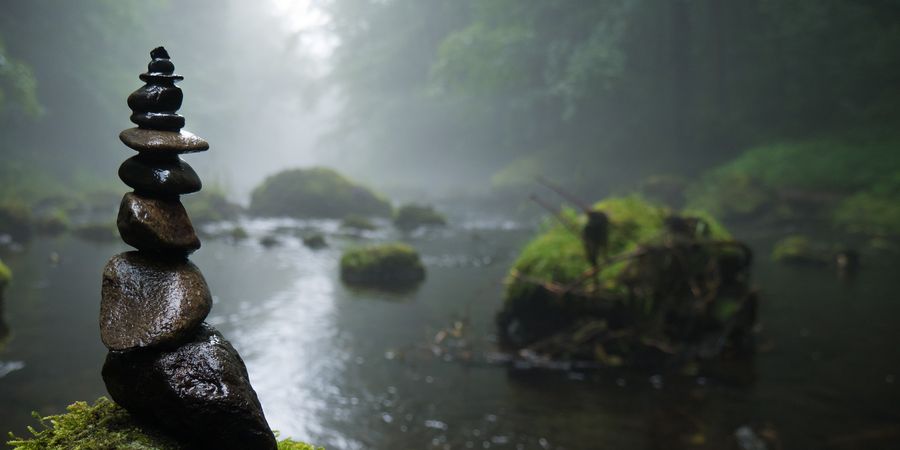 image - En route, j'ai ramassé des cailloux