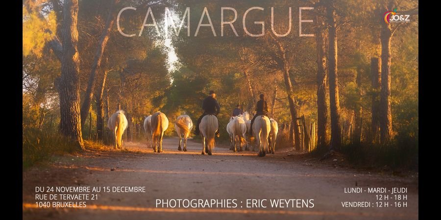 image - Camargue