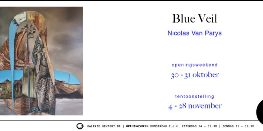 image - Blue Veil • Nicolas Van Parys