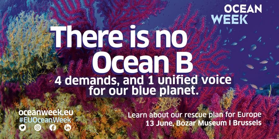 image - There is no Ocean B. What we must do to restore our blue planet
