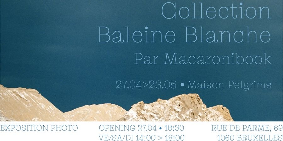 image - Collection Baleine Blanche